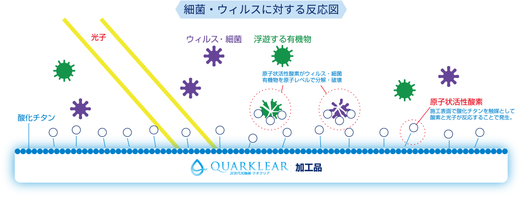 細菌・ウィルスに対する反応図