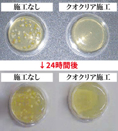 岩盤浴内での抗菌テスト